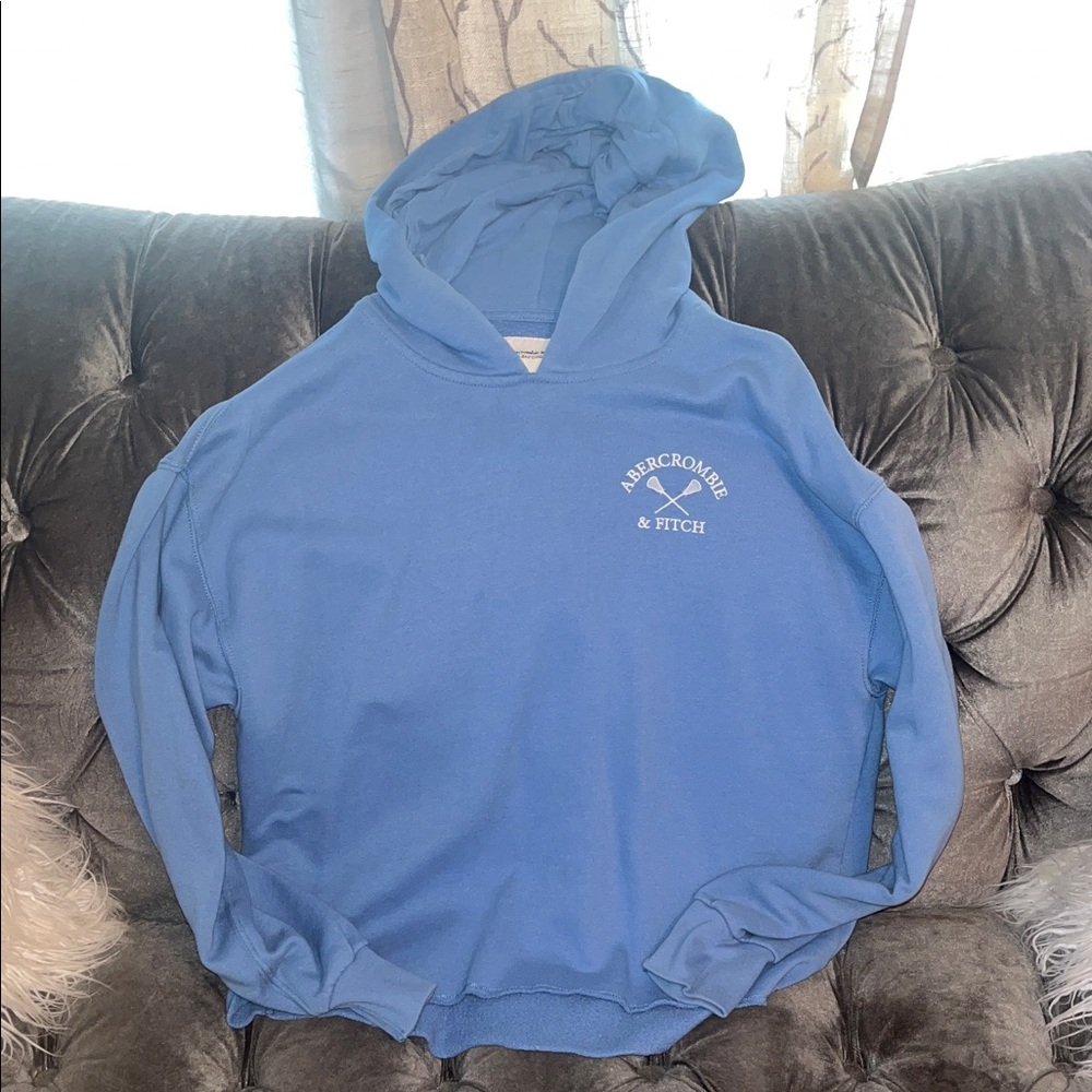Abercrombie & Fitch Men's Hoodie in Blue
